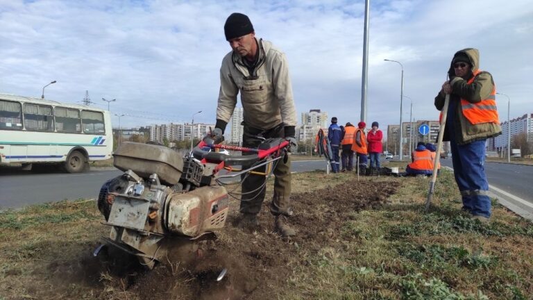    В Оренбурге на улице Рокоссовского высаживают тюльпаны Оренбуржье