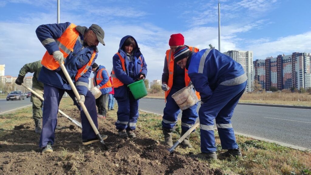    В Оренбурге на улице Рокоссовского высаживают тюльпаны Оренбуржье