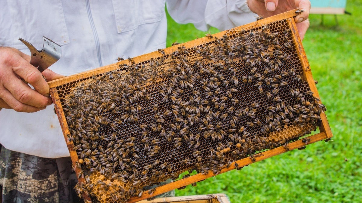     Источник: vostokmedia.com