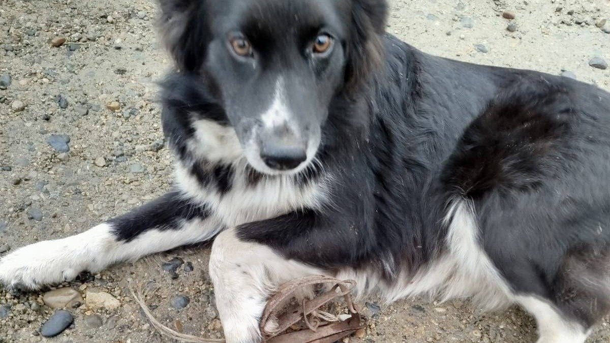     Источник: newsartema