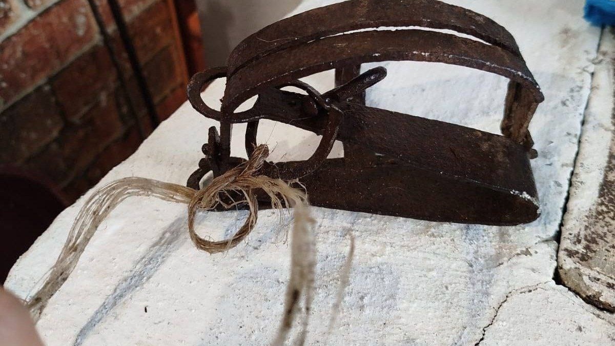     Источник: newsartema