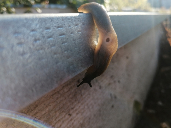 Фото: Оксана Котова