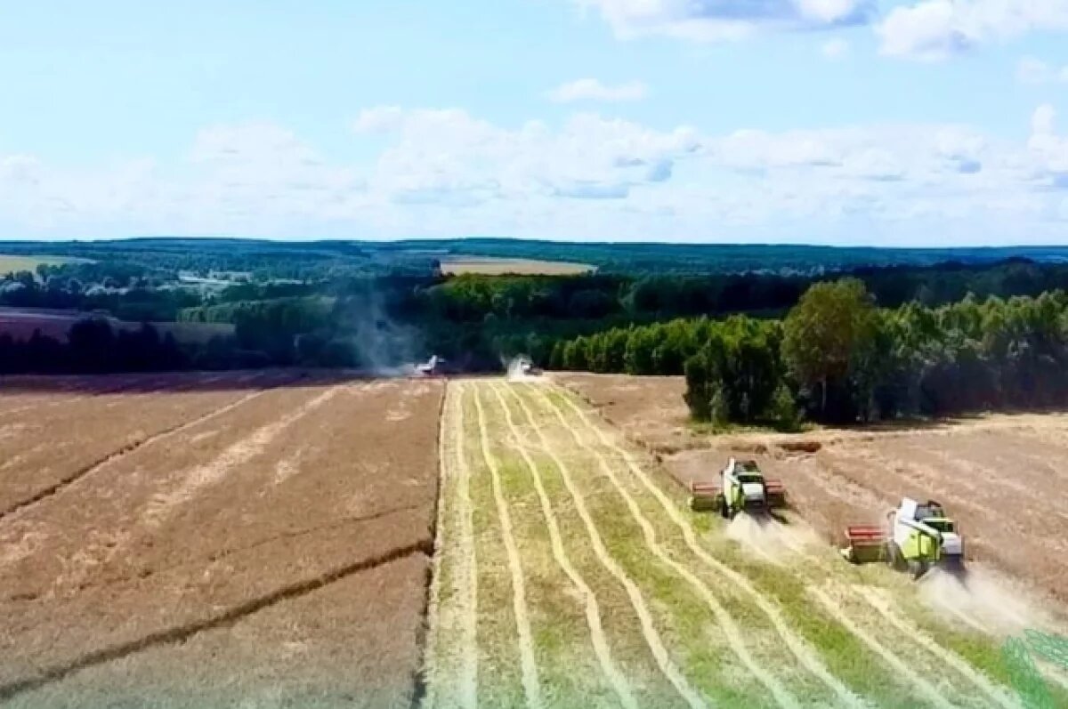    Возврат в оборот сельхозземель Калужской области станет приоритетным в 2025