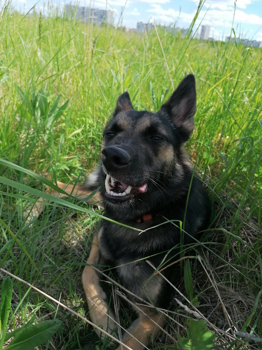 Здесь Мэй два года.