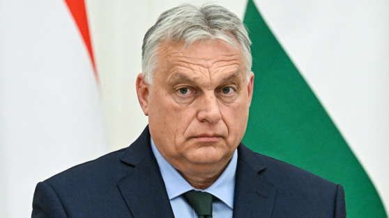    Орбан заявил, что с планом Зеленского нельзя победить Татьяна Сидорова