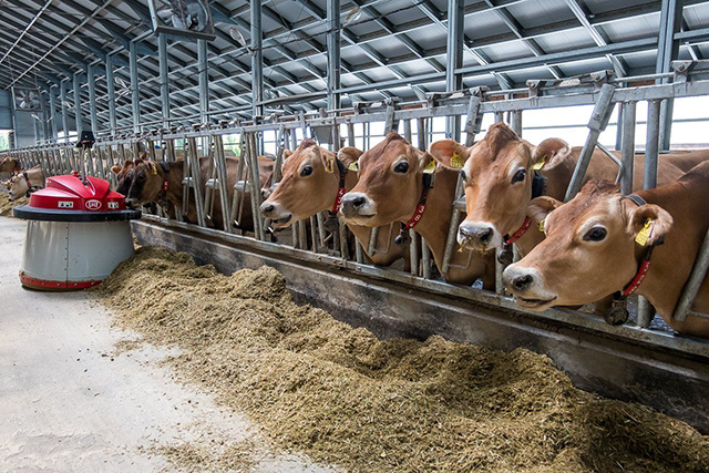 За три года экспорт продукции ГК «Агропромкомплектация» вырос на 400%