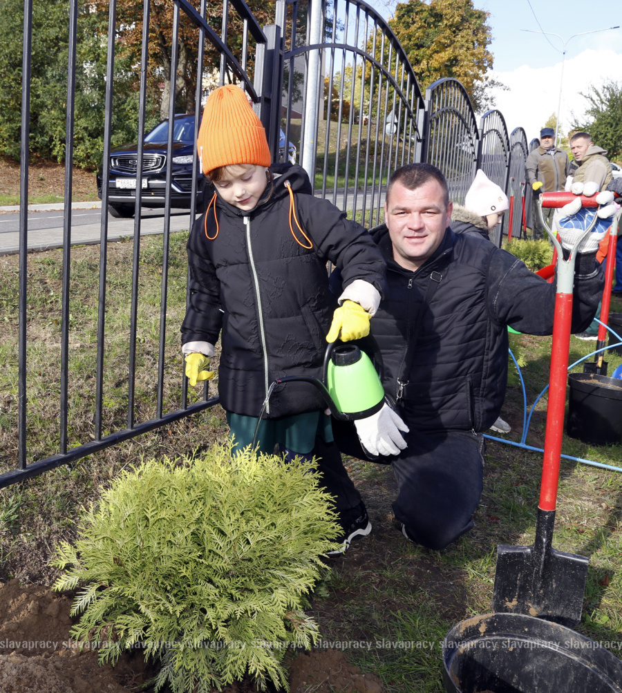     В Копыле посадили семейную аллею