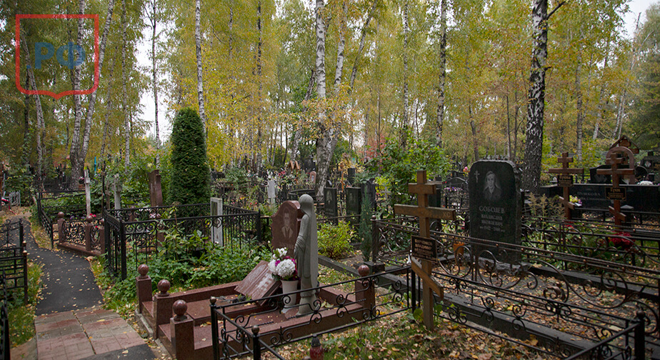 Фотография взята из источника yandex.ru