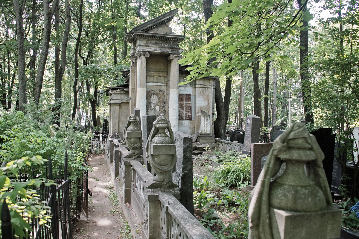 Фотография взята из источника yandex.ru