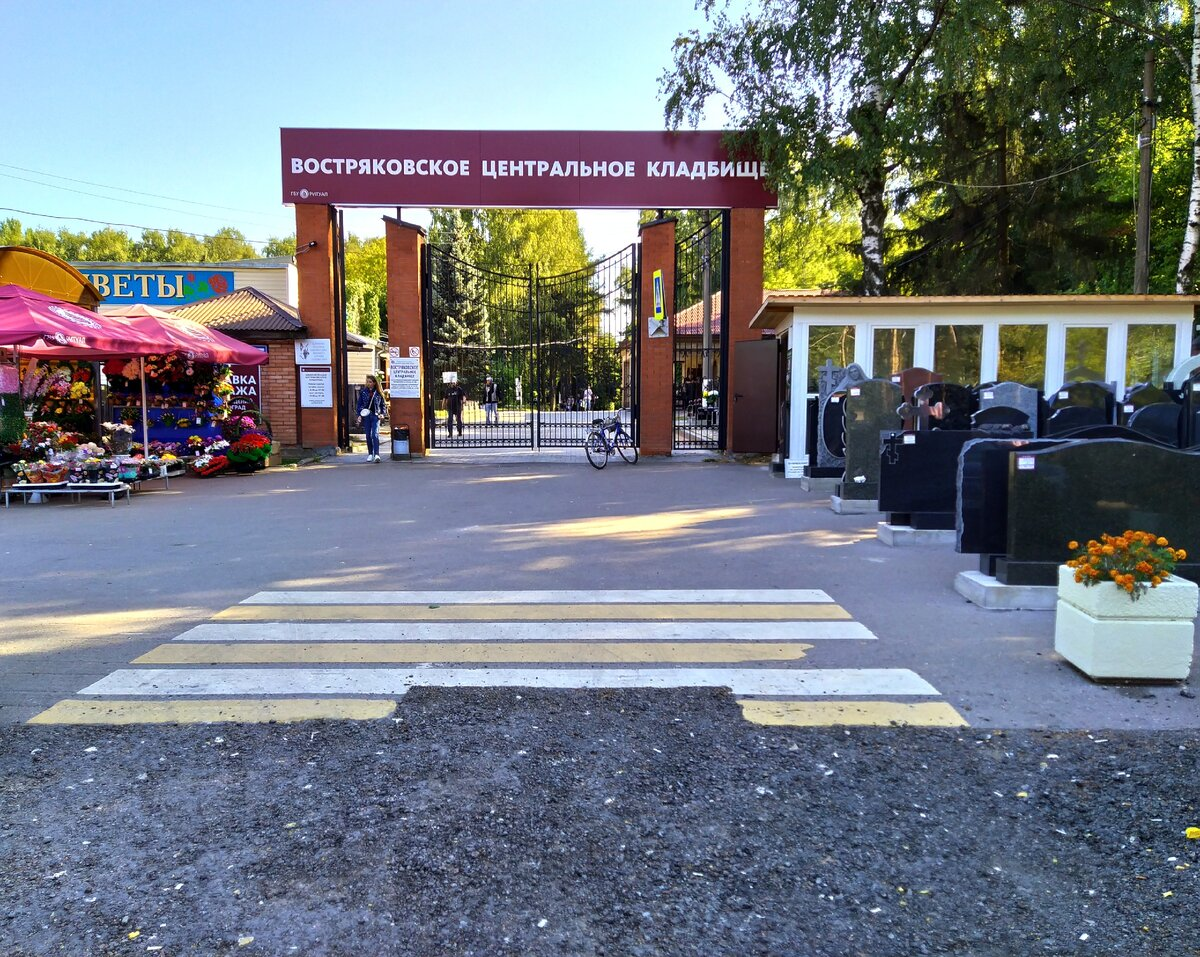 Фотография взята из источника yandex.ru