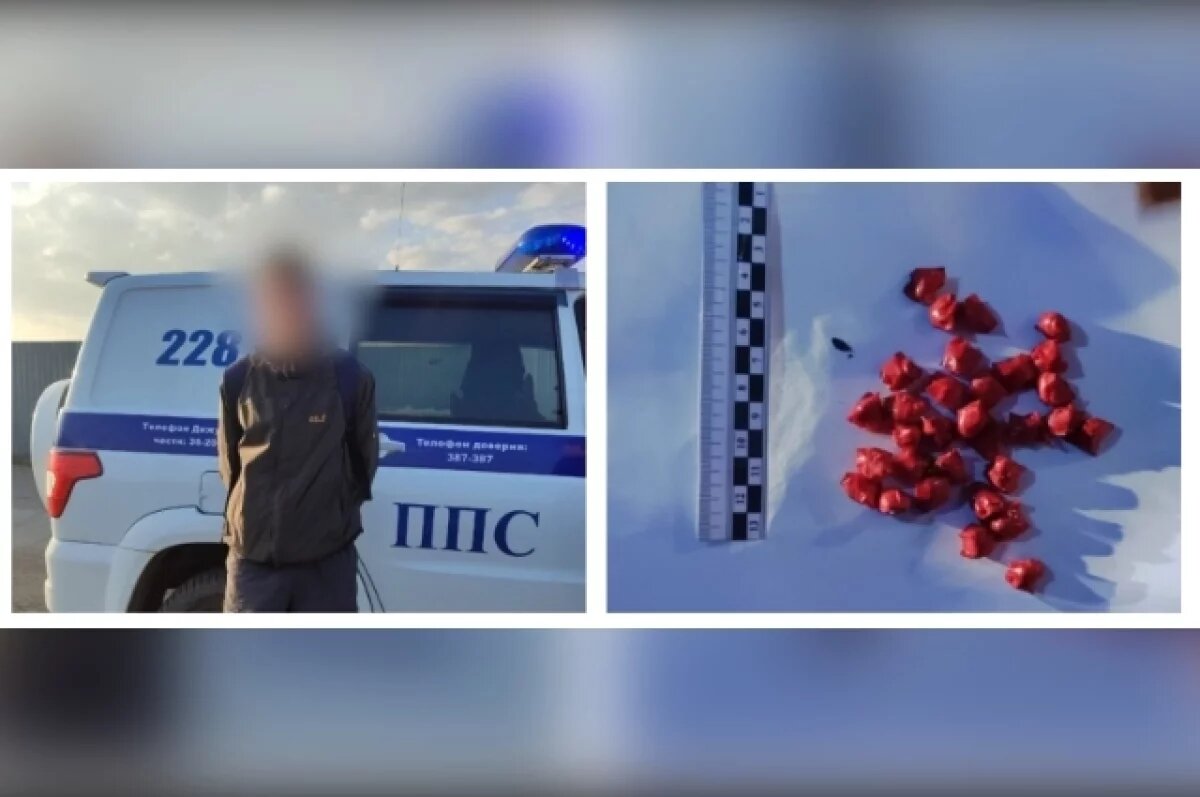    В Рязани грибы с глазами, а в Хабаровске задержали рязанца с «кладом»