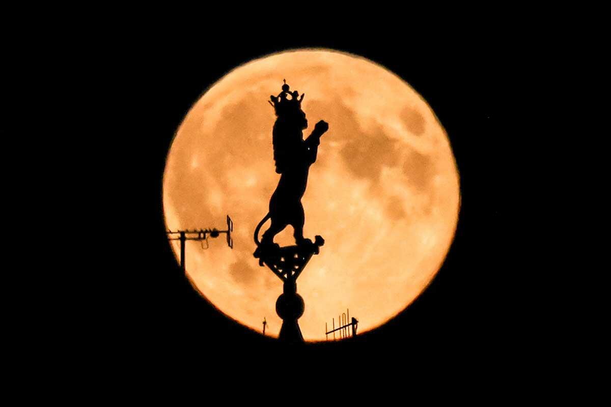 Сергей Савостьянов / ТАСС📷Полнолуние в Москве 17 октября 2024