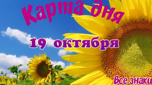 Карта дня🍁19 октября🌞 Ленорман. Тайм-код в описании🦢