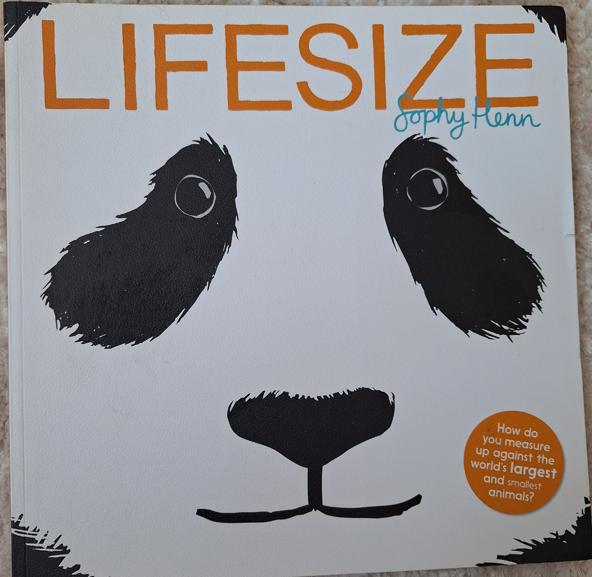 Воот такая панда