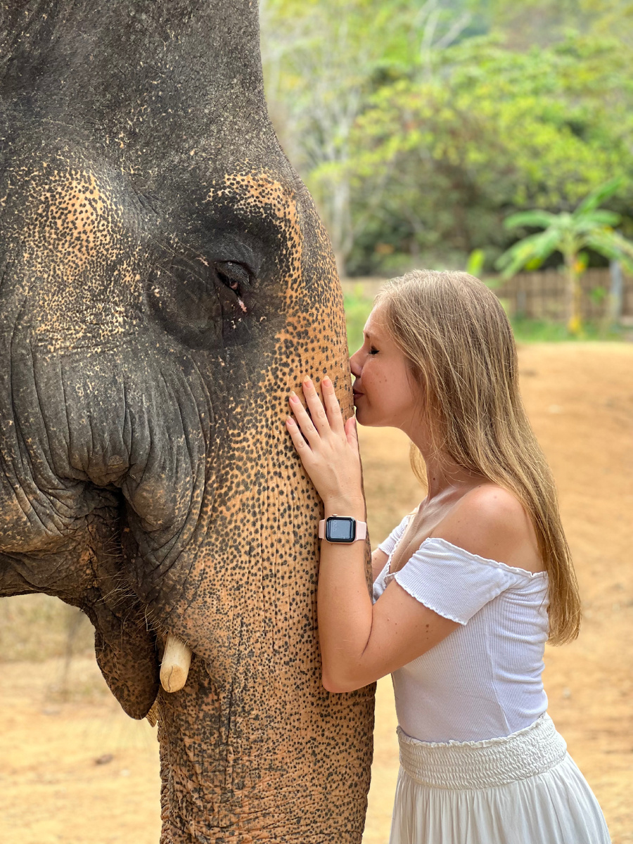 Слонов надо любить, а не дубасить палками с крюком