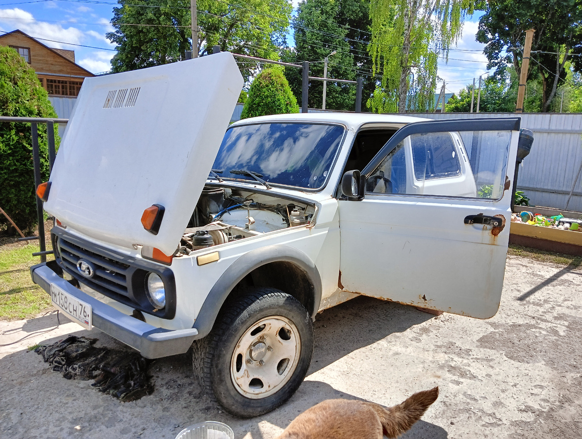 Вот что нас ожидало по факту