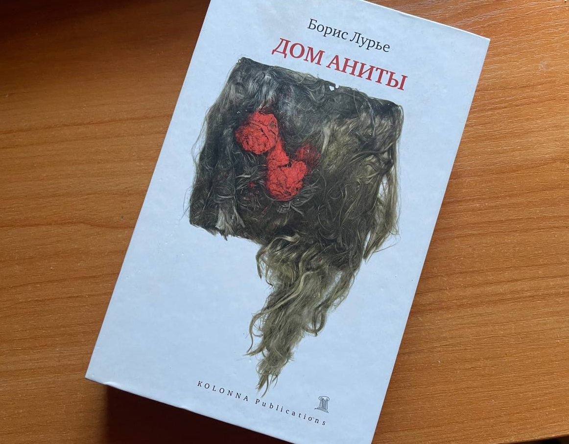 Роман Лурье Дом Аниты