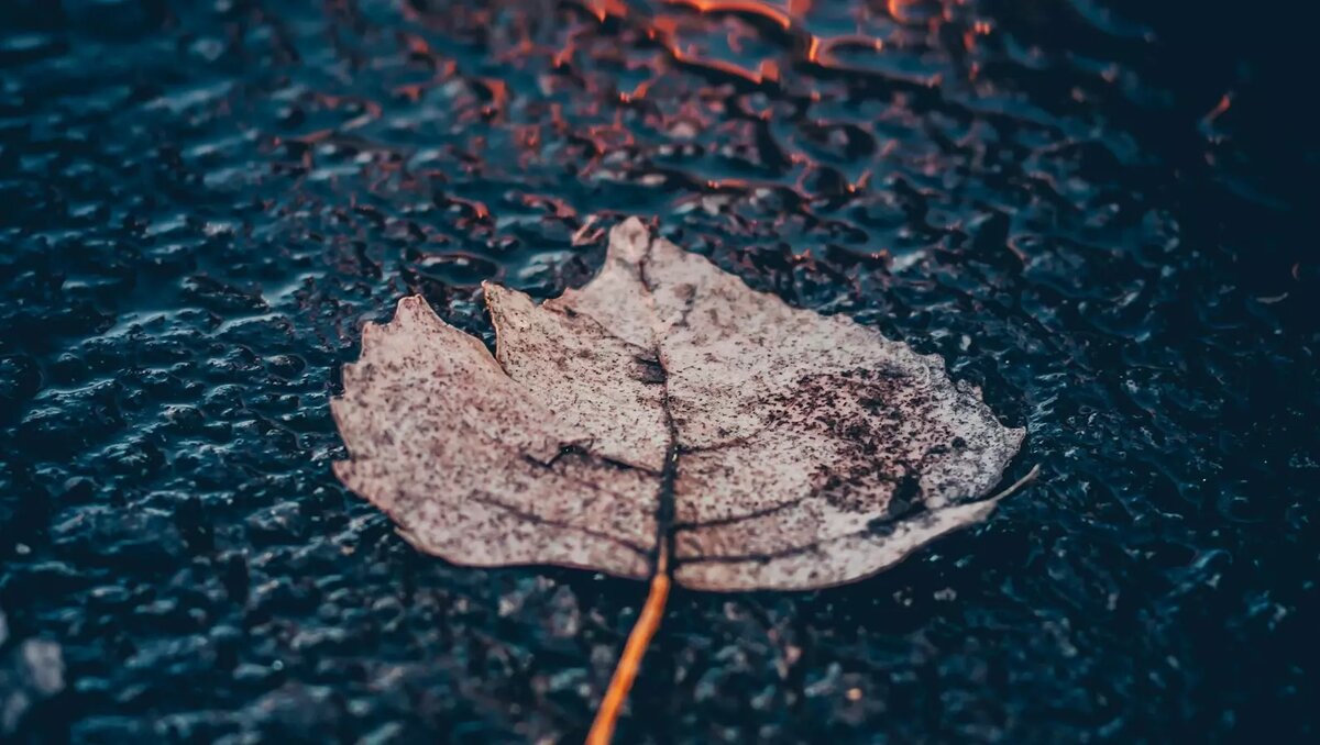     Автор: Unsplash