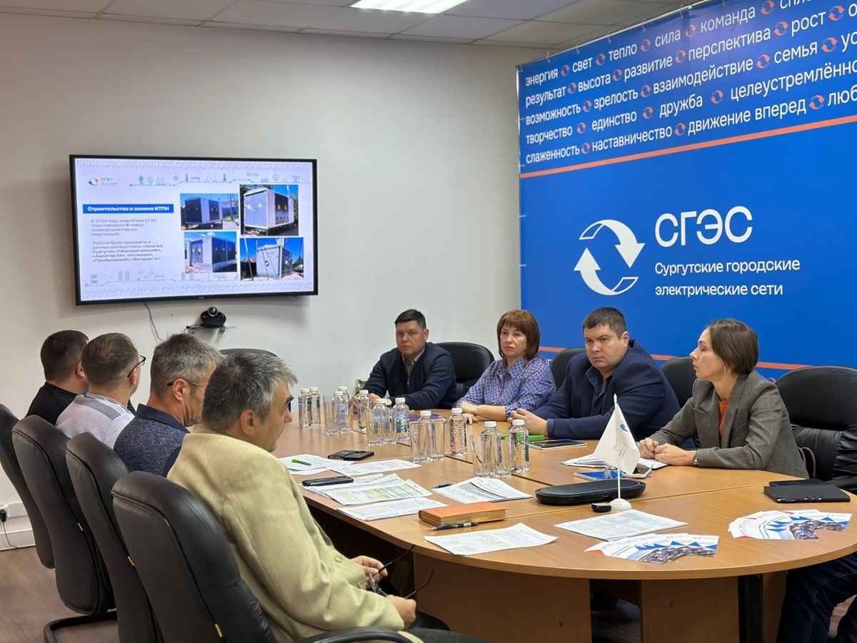    Энергетики назвали проблемные точки в вопросах энергоснабжения дачников