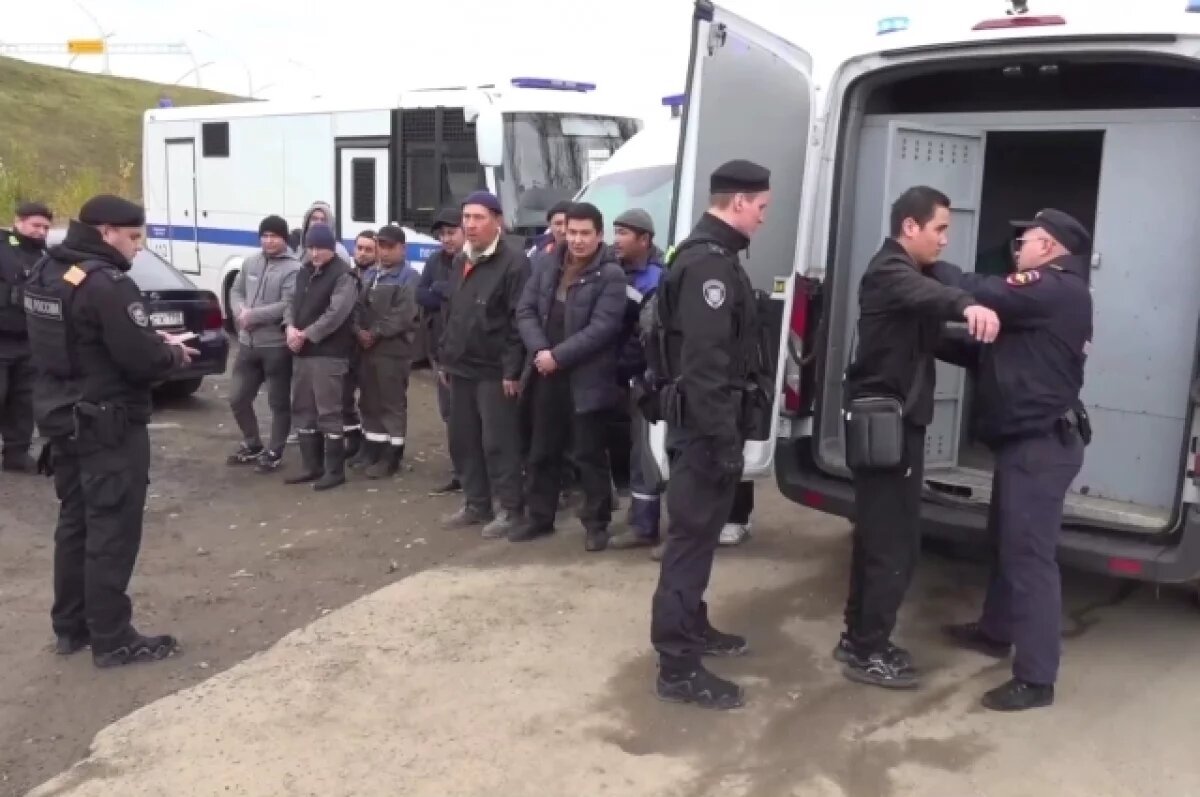    В СНТ у Пулково полиция Петербурга задержала 35 мигрантов-нелегалов