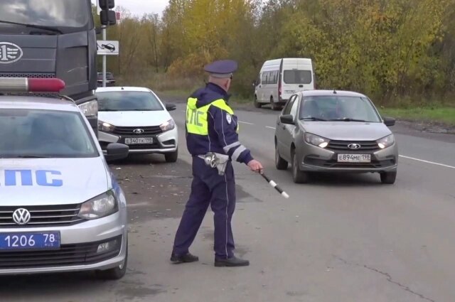    Фото: Пресс-служба ГУ МВД России по Петербургу и Ленобласти/ скриншот видео