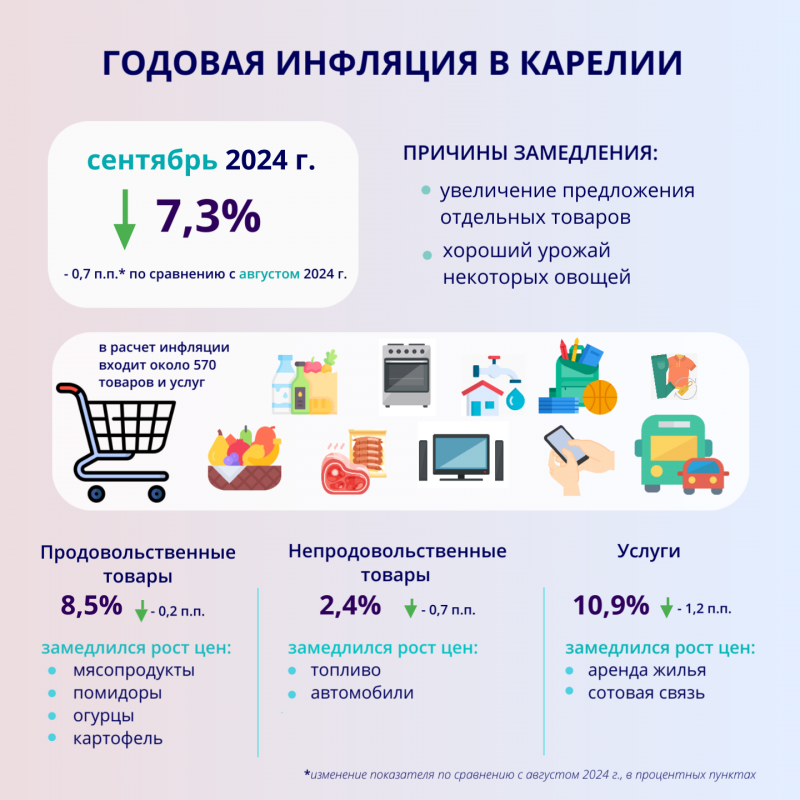    Нацбанк зафиксировал снижение инфляции в КарелииИрина Меркова