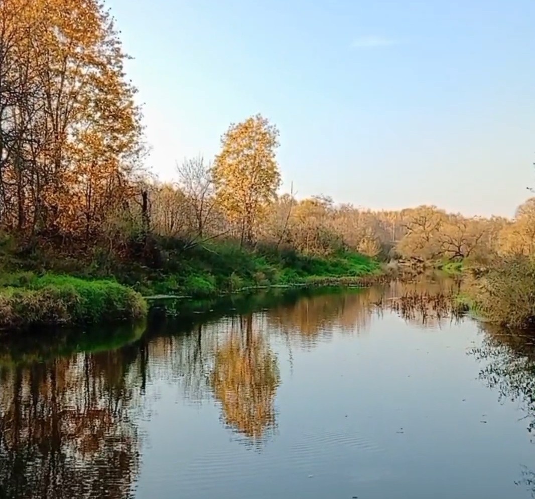 Картинка автора. Любимая моя... 