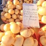    На Комаровке в октябре появилась белорусская молодая картошка Сергей Белевич