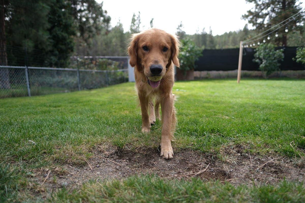   16 mm, 1/1000 sec, f/1.4, ISO 80, +0.33 EV. Источник: dpreview.com
