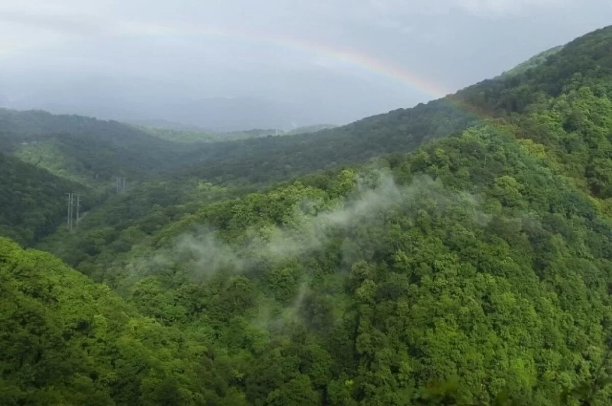    В Сочи спасли заблудившихся возле заброшенного ресторана туристов