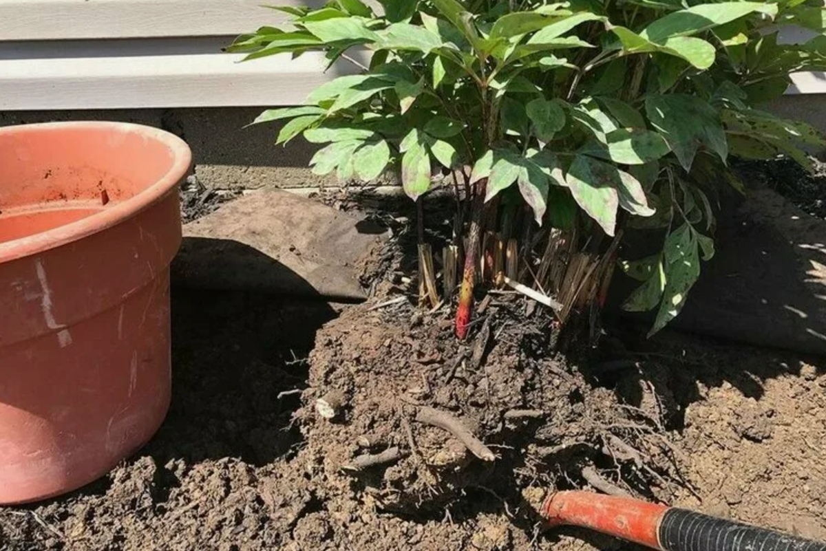 Источник фото: yandex.ru