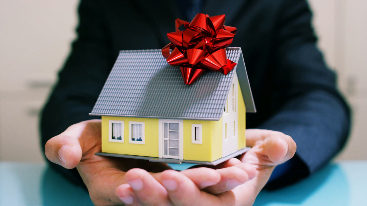 Подарок от родного брата: как он может стать доходом от бизнеса? 