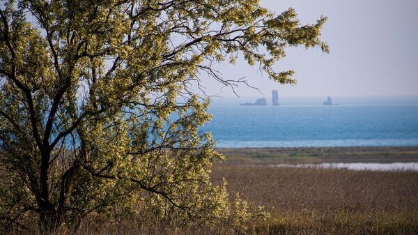    © РИА Новости Крым . Дмитрий Макеев