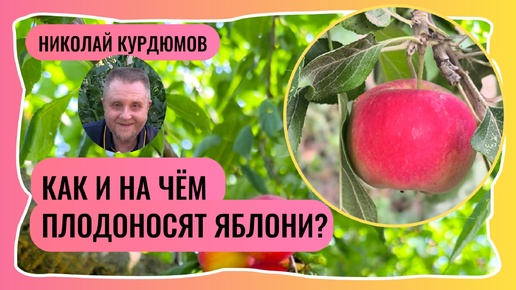 УМНЫЙ САД. КАК ПЛОДОНОСЯТ ЯБЛОНИ?