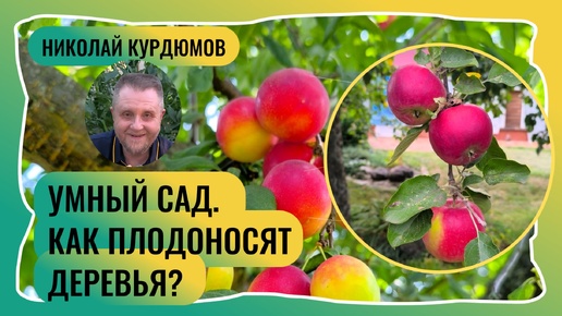 УМНЫЙ САД. НА ЧЁМ И КАК ПЛОДОНОСЯТ ДЕРЕВЬЯ?