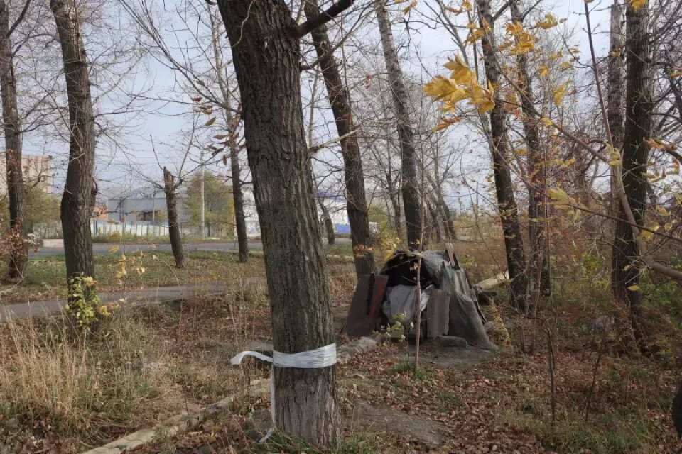    Бийская отшельница. Источник: "Бийский рабочий"