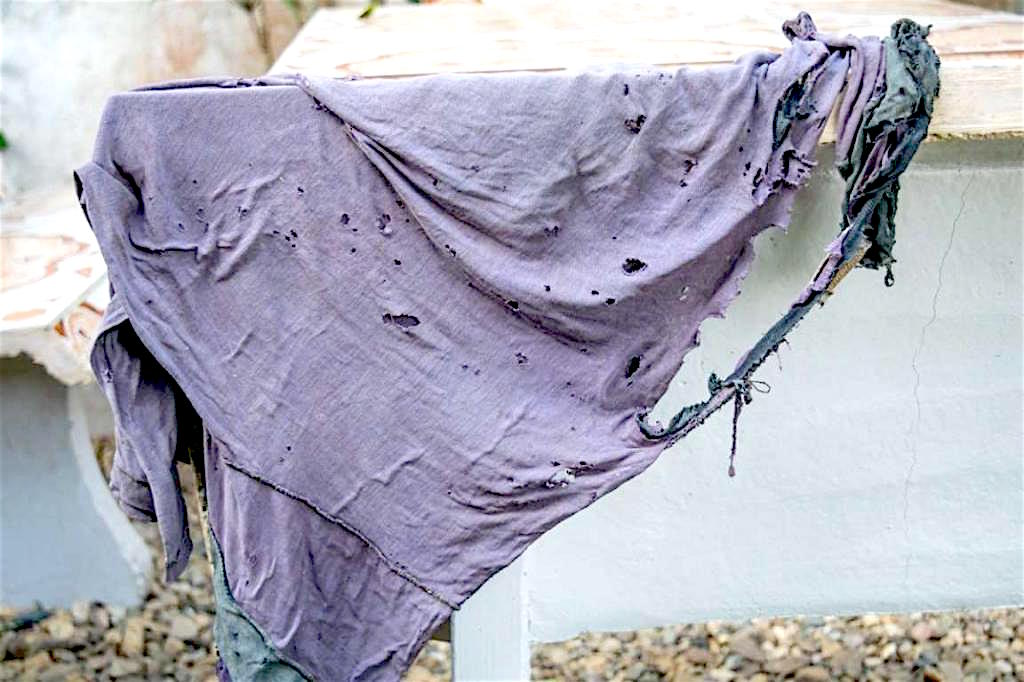 Картинки Яндекс