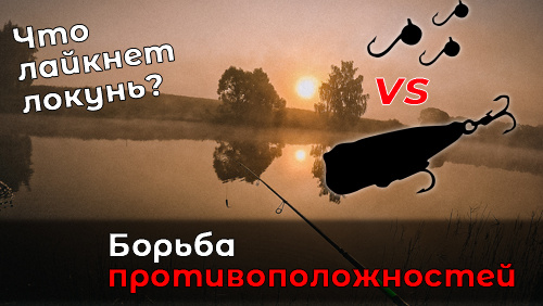 Мормышинг VS поппер Akara Dart. Кто больше?