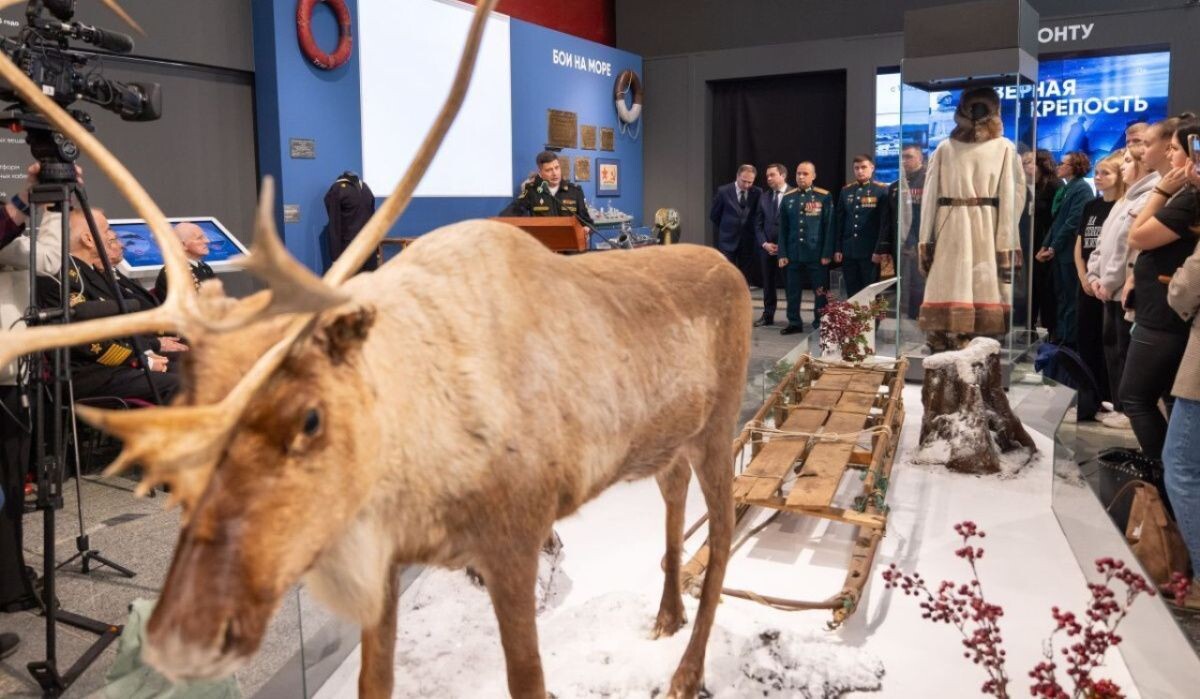     Выставка «Северная крепость» в Музее Победы. Источник: victorymuseum.ru Автор фото: Пресс-служба Музея Победы