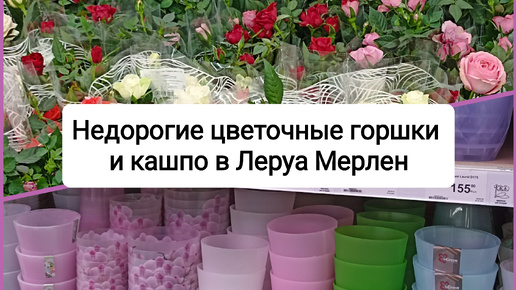 Недорогие цветочные горшки и кашпо в Леруа Мерлен