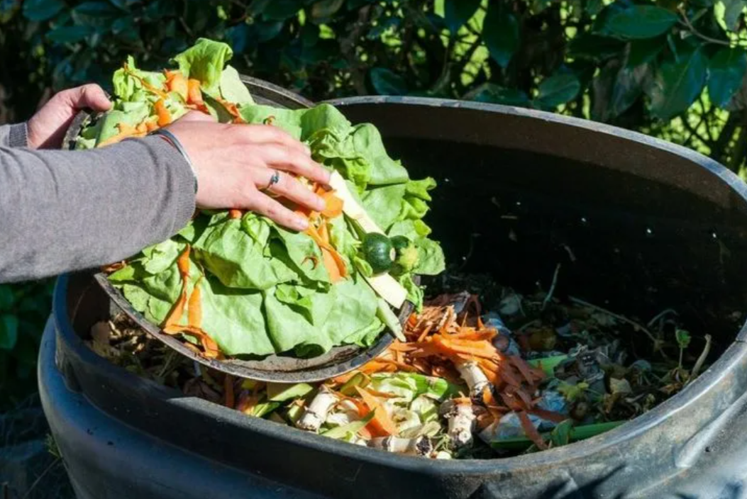 Компостируйте органические отходы