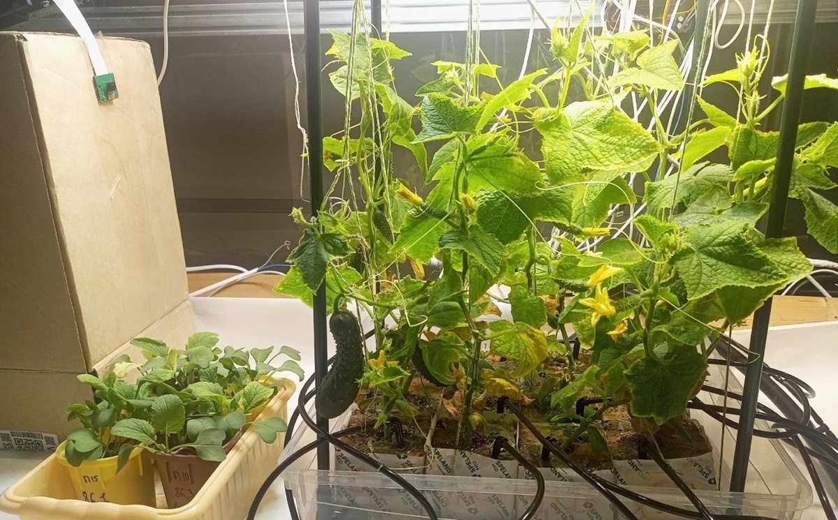 Фото: Денис Калин / ТАСС