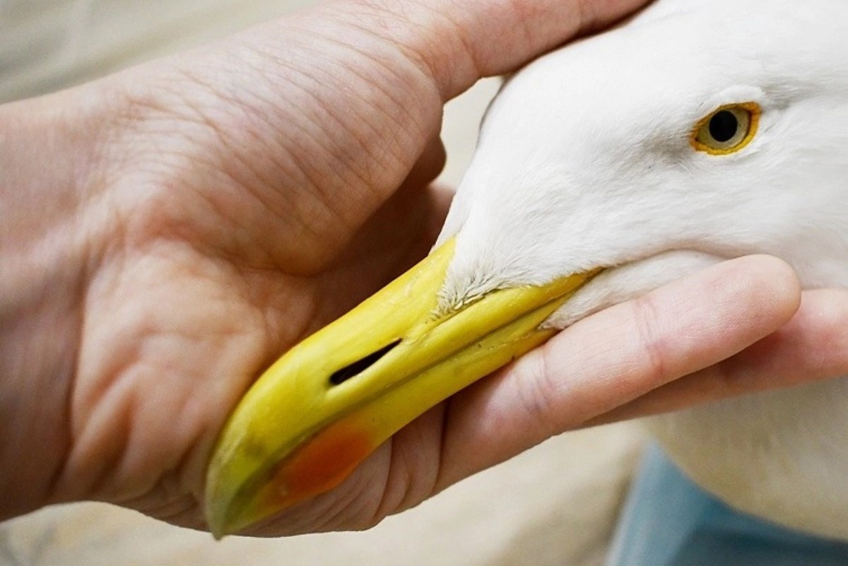  Фото: из личного архива