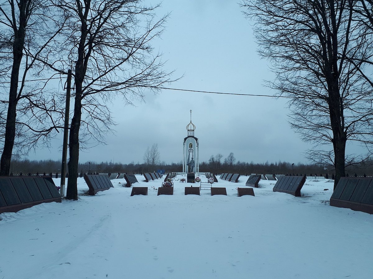 Фото в свободном доступе