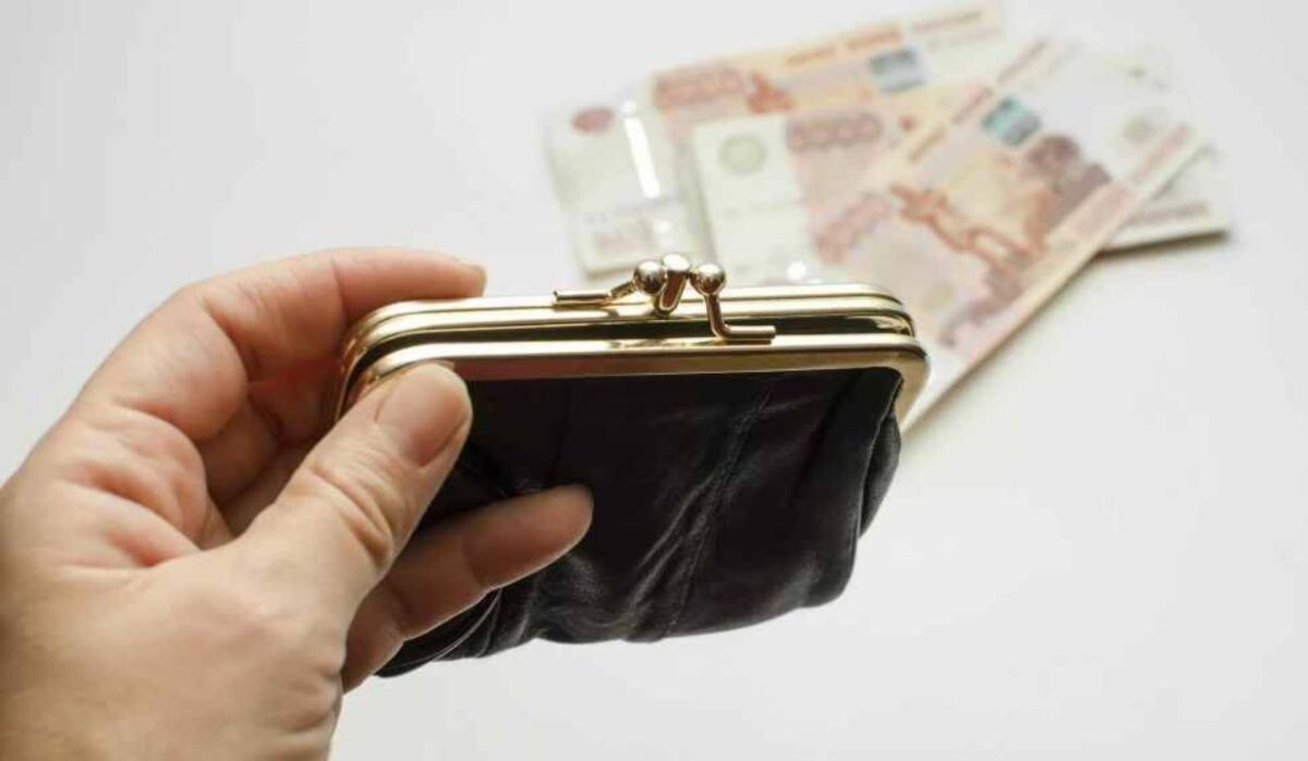     Кошелёк в руке. Источник: ria.ru Автор фото: Natalya Vilman