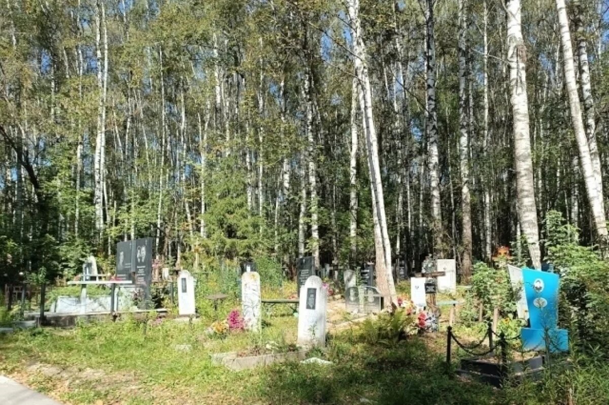    Ритуальщики на дзержинском кладбище борются за клиентов путем вандализма