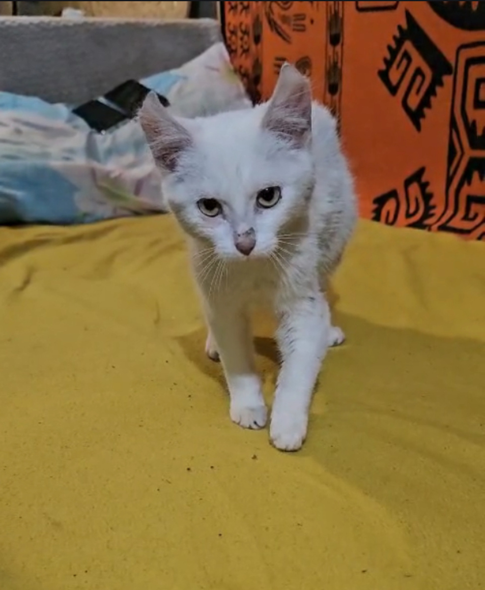 Кадр из видео