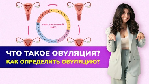 🤔ЧТО ТАКОЕ ОВУЛЯЦИЯ? Как определить овуляцию?