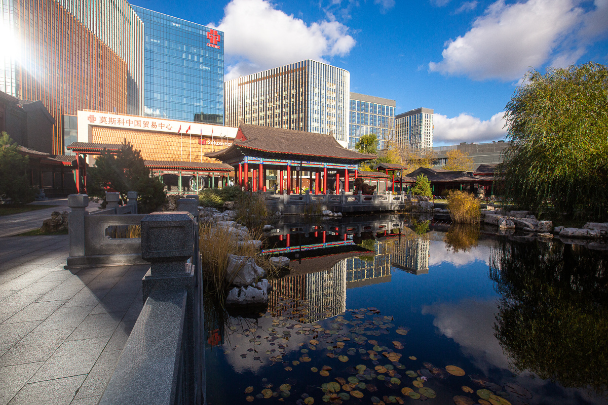 Китайский ландшафтный парк "Хуамин". Арка Цзыюнь и пруд Линлун. Москва. Фото автора статьи 