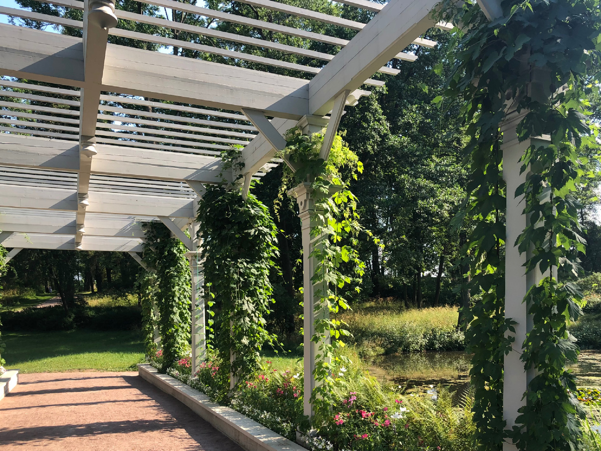 Пергола в дворцово-парковом ансамбле Александрия, Петергоф